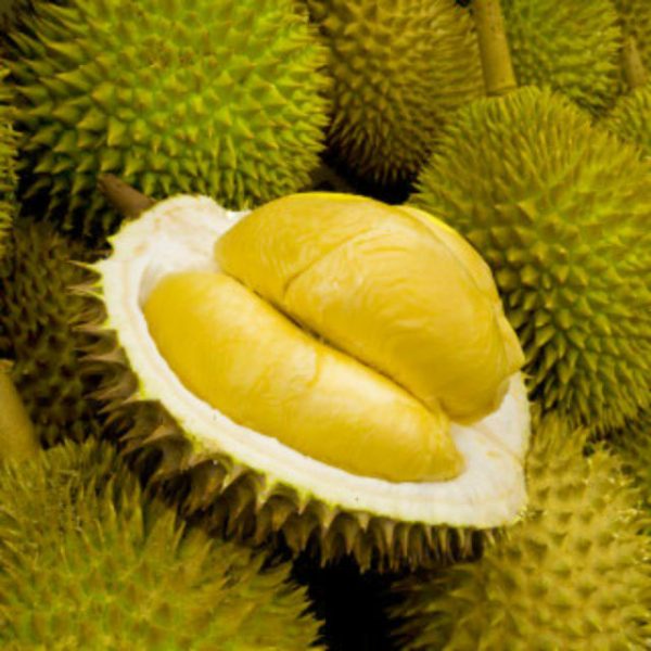 Sultan King D24: The Royal Delight of Durian Excellence
